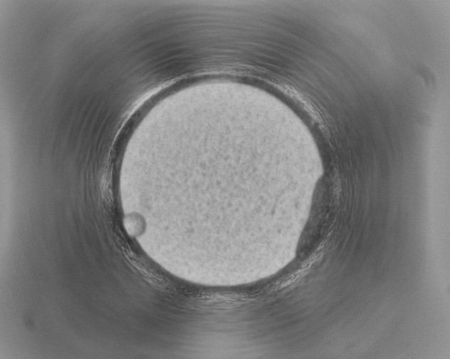 X0000115380830200912151437