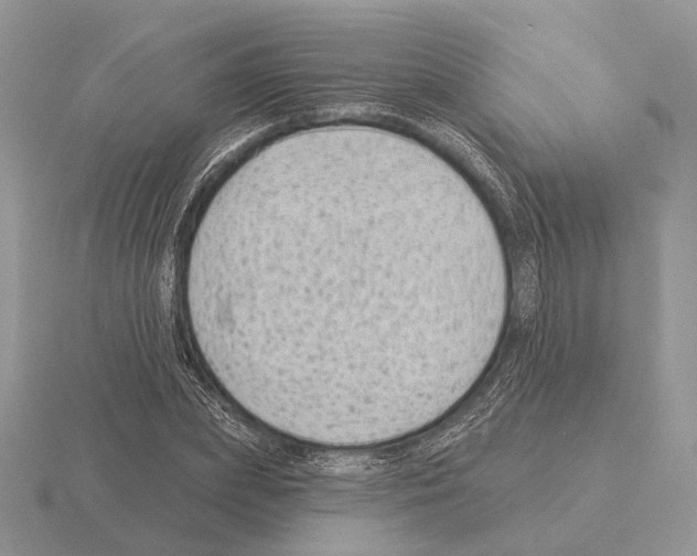 X0000115380831200912151437