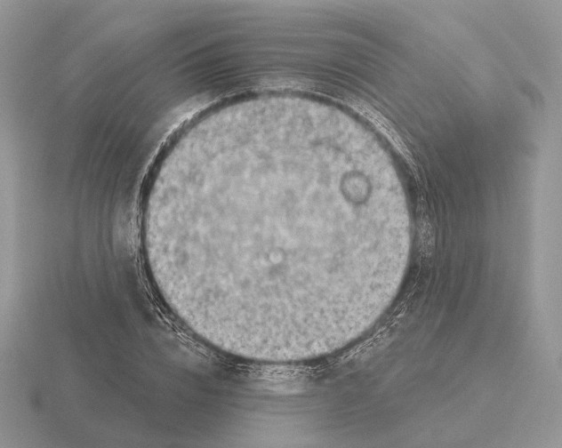 X0000115380832200912151437