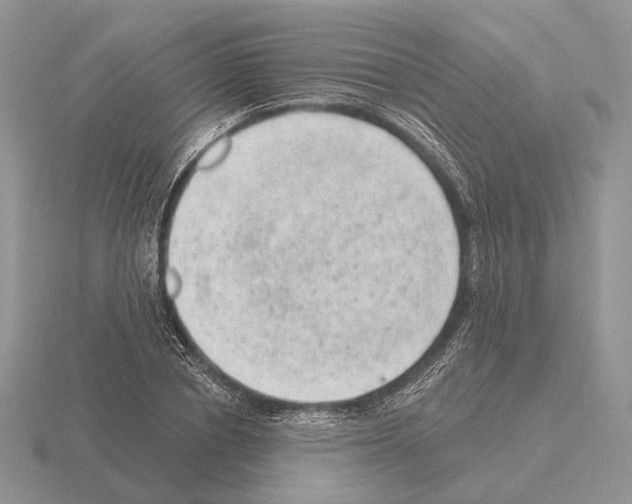 X0000115380834200912151437