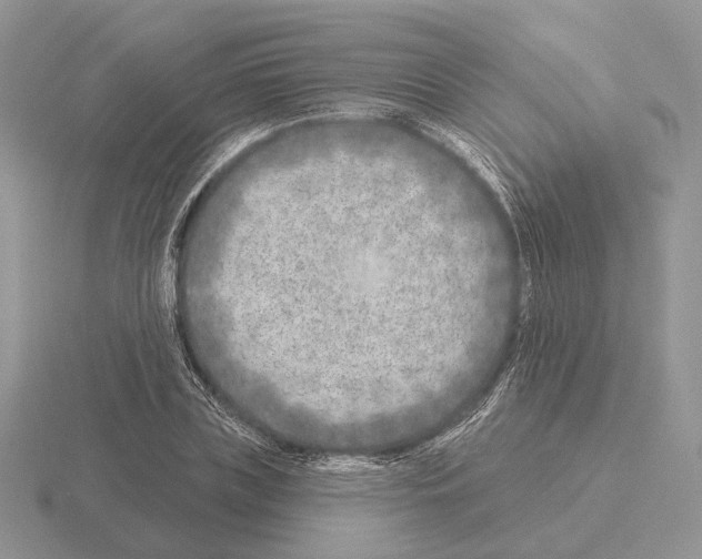 X0000115380835200912151437