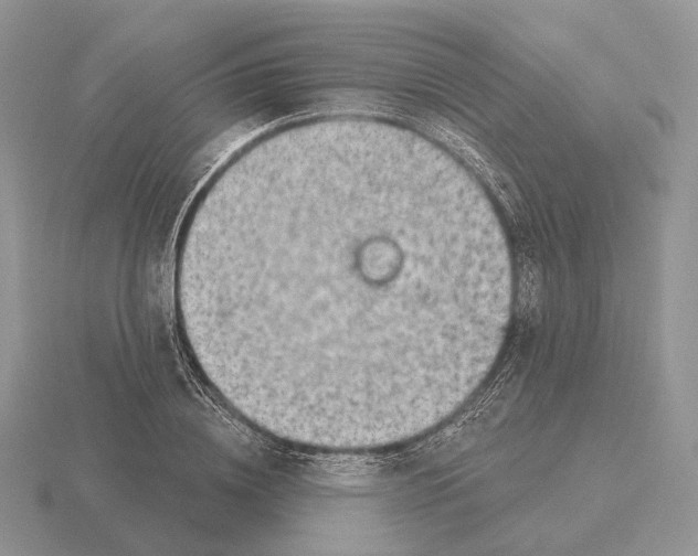 X0000115380836200912151437