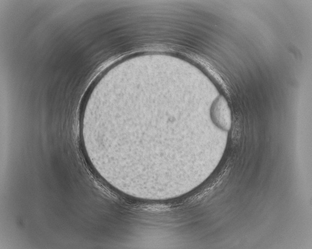 X0000115380837200912151437