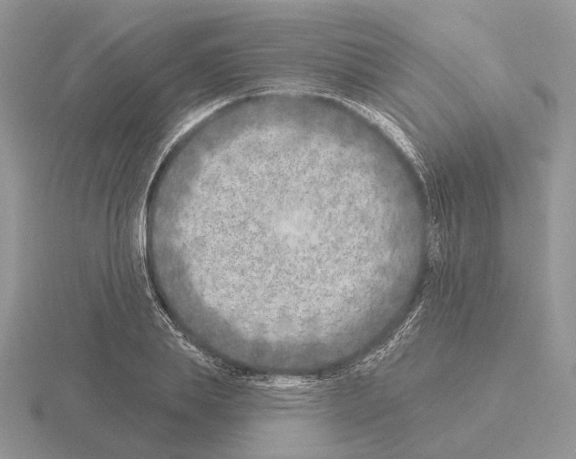 X0000115380839200912151437