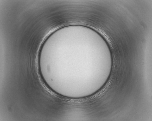 X0000115380840200912151437