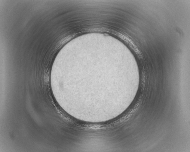 X0000115380841200912151437