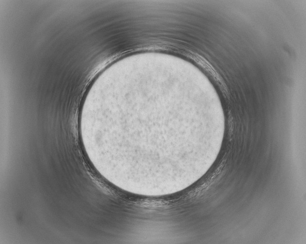 X0000115380842200912151437