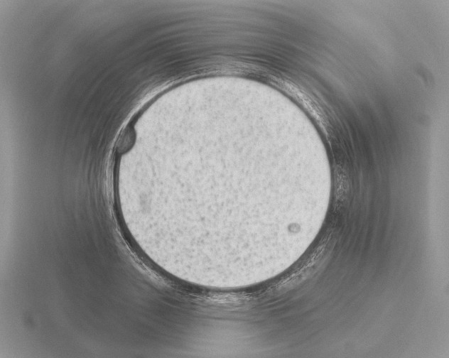 X0000115380843200912151437