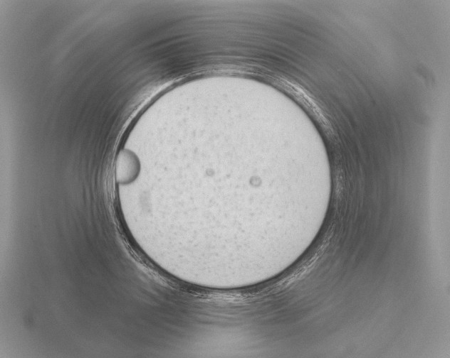 X0000115380844200912151437