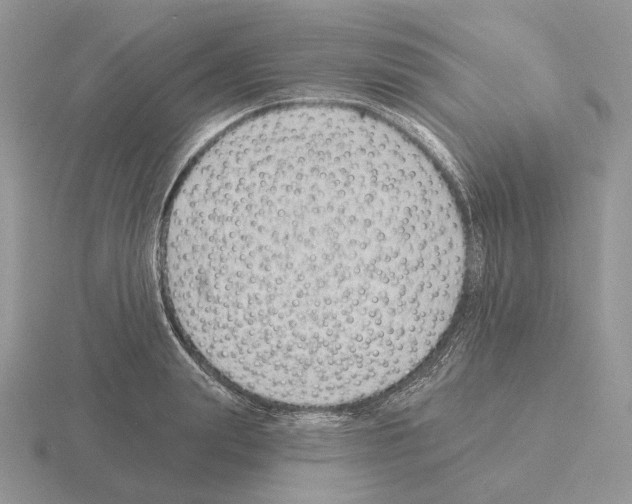 X0000115380847200912151437