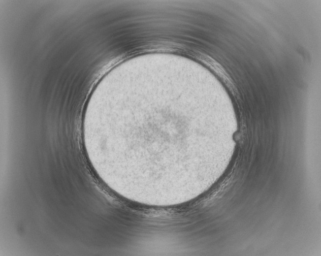 X0000115380850200912151438