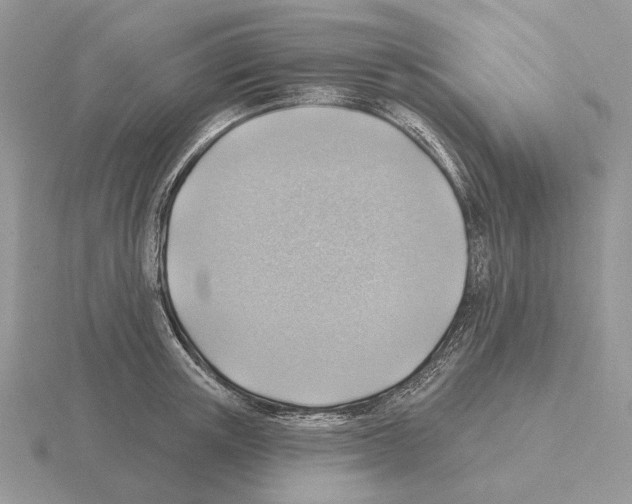 X0000115380851200912151438