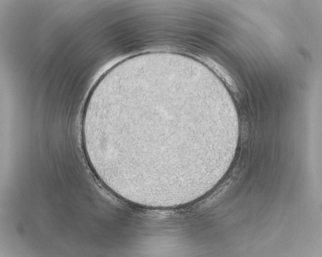 X0000115380854200912151438