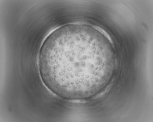 X0000115380855200912151438