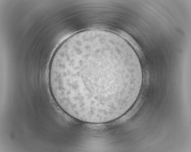 X0000115380856200912151438