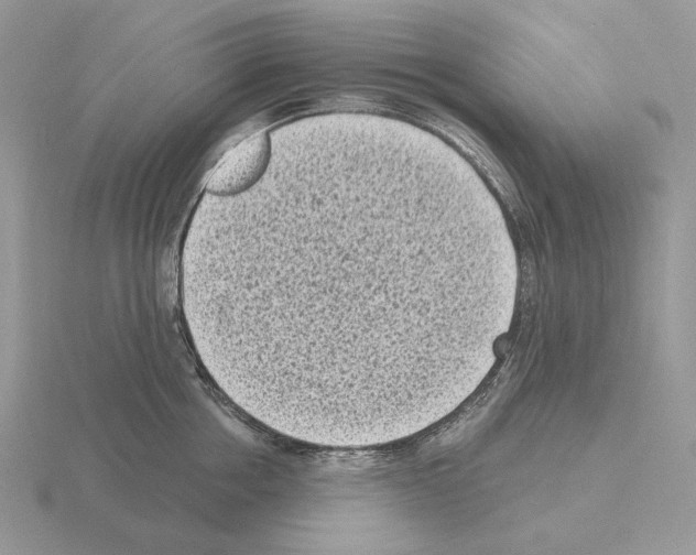 X0000115380858200912151438