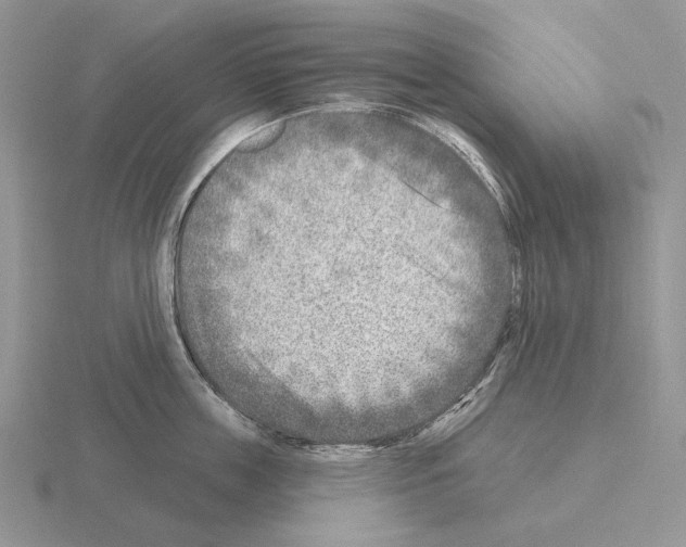 X0000115380859200912151438