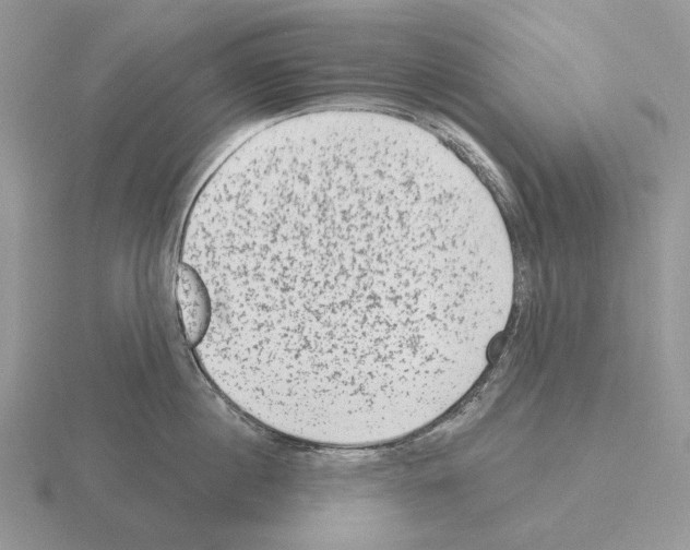 X0000115380860200912151438