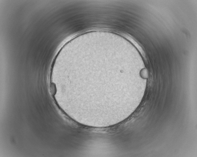 X0000115380861200912151438