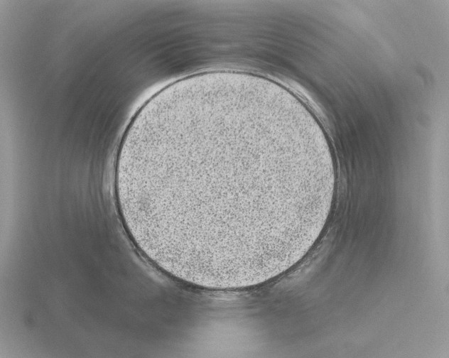 X0000115380862200912151438