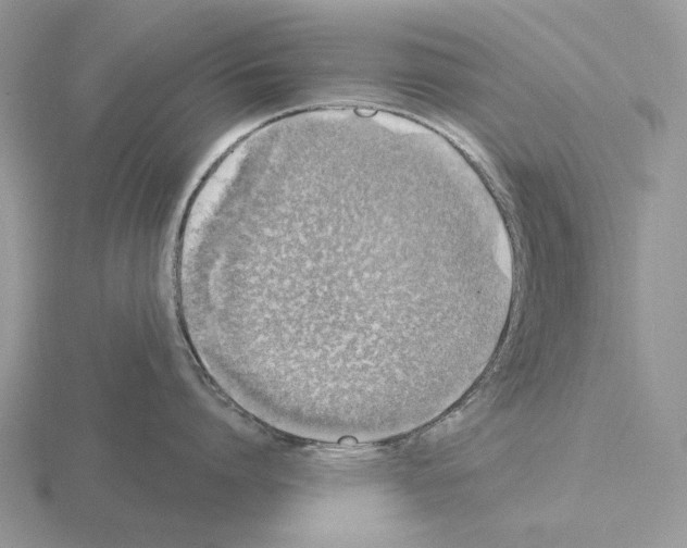 X0000115380864200912151438