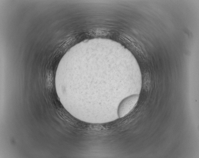 X0000115380866200912151437