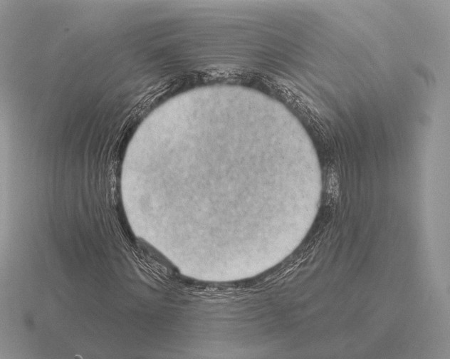 X0000115380868200912151437