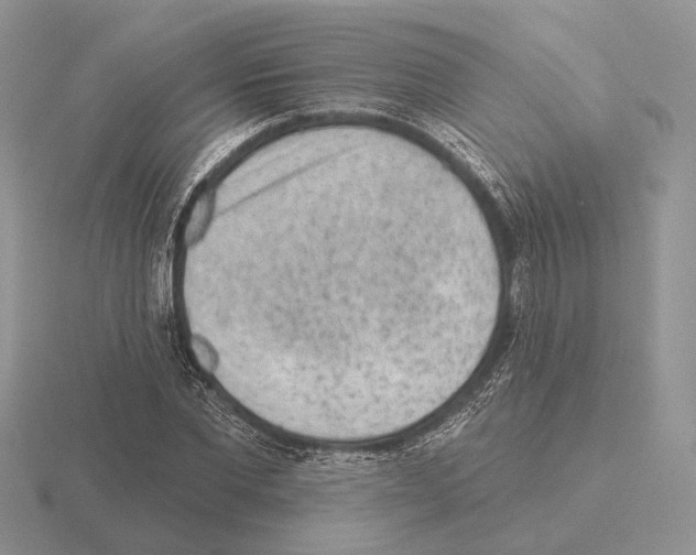 X0000115380877200912151437