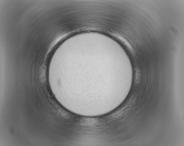 X0000115380878200912151437