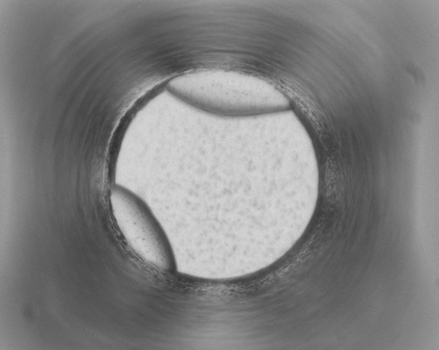 X0000115380880200912151437