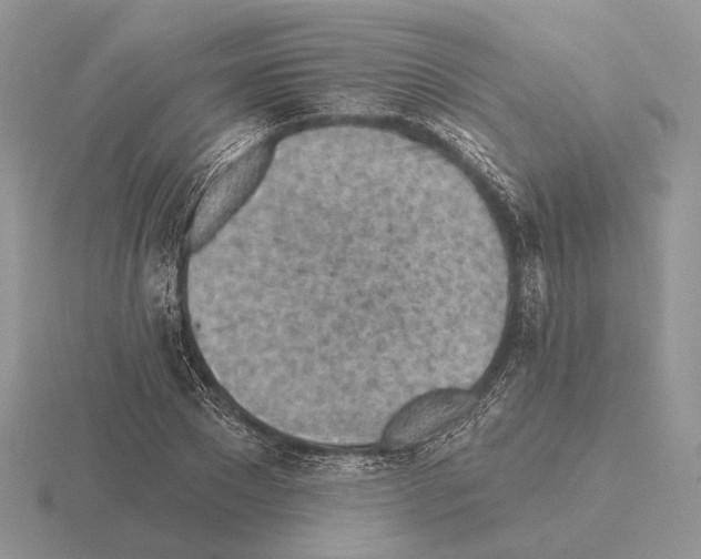 X0000115380881200912151437