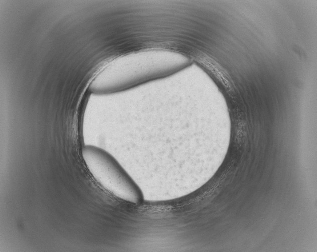 X0000115380884200912151437