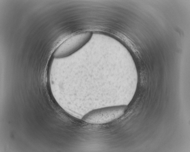 X0000115380885200912151437