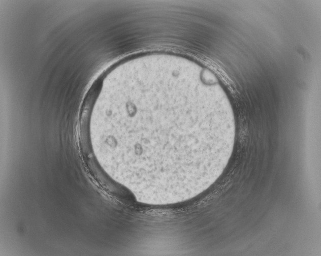 X0000115380888200912151437