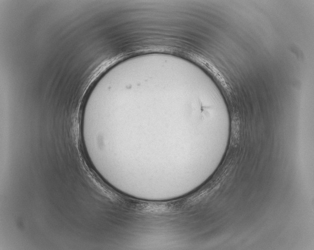 X0000115380890200912151437