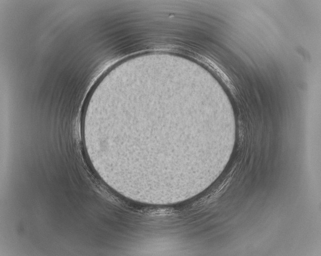 X0000115380891200912151437