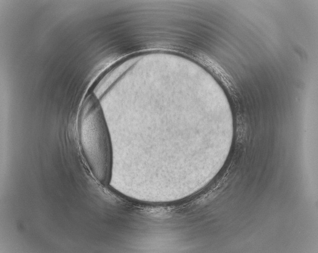 X0000115380892200912151437