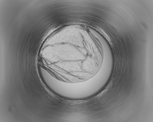 X0000115380893200912151437