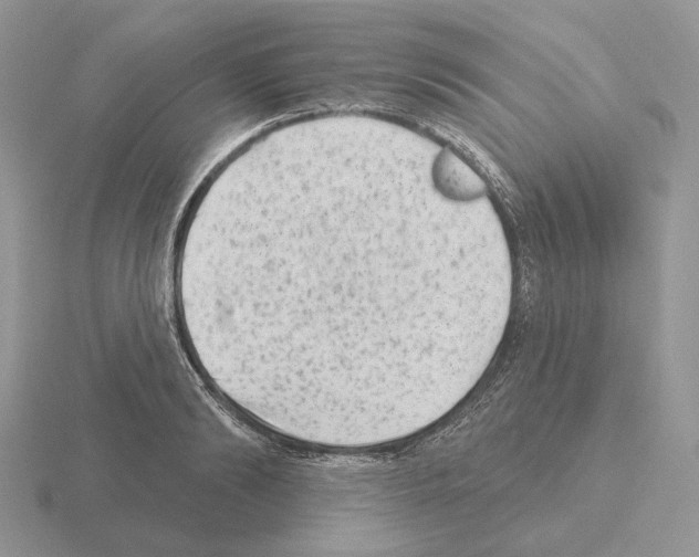 X0000115380894200912151437