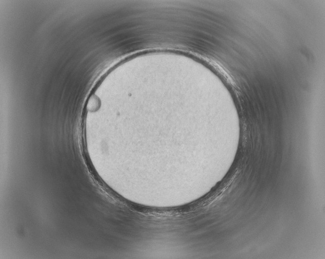 X0000115380895200912151437