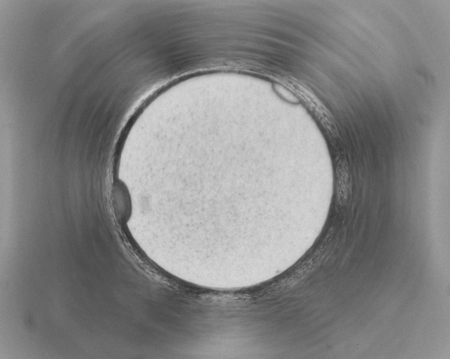 X0000115380896200912151436