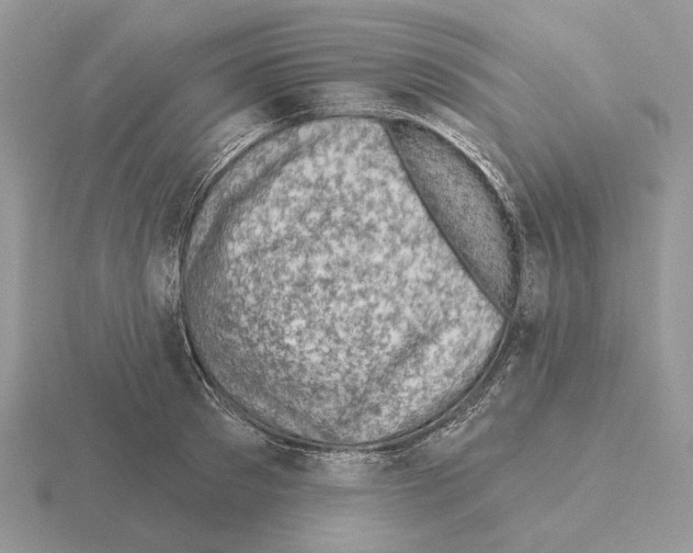 X0000115380897200912151436