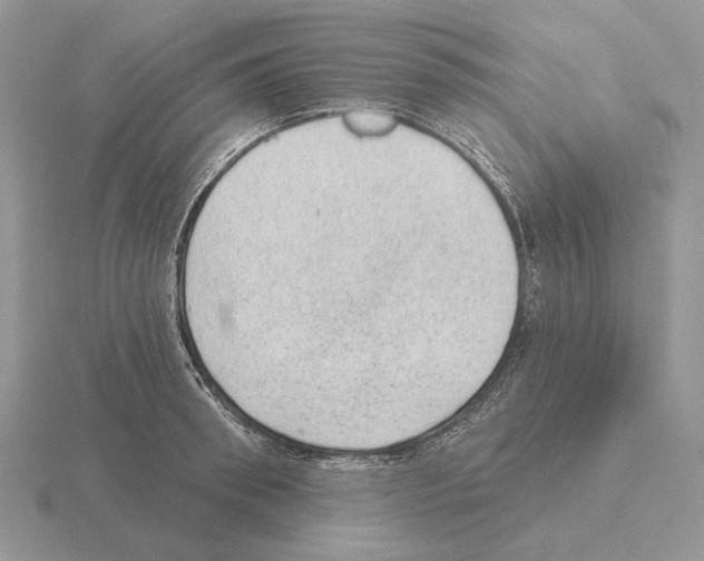 X0000115380898200912151436