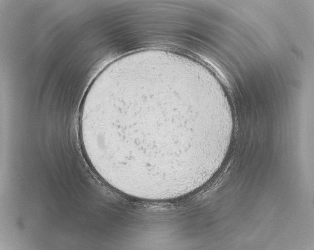 X0000115380899200912151436