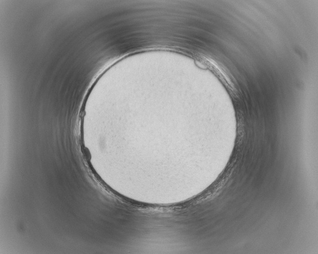 X0000115380900200912151436