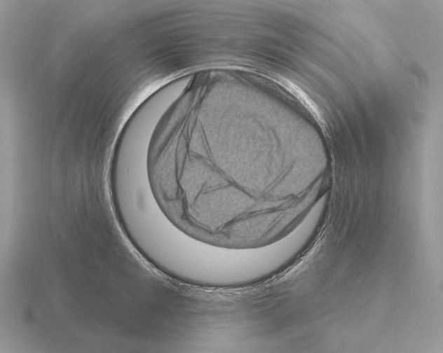 X0000115380901200912151436