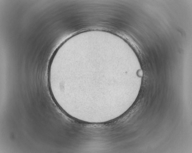 X0000115380902200912151436