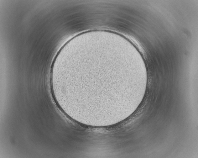 X0000115380903200912151436