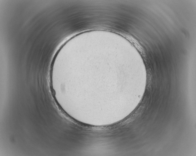 X0000115380904200912151436