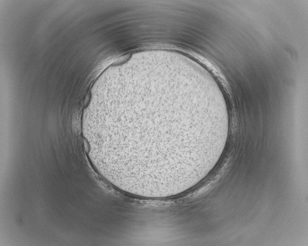 X0000115380905200912151436